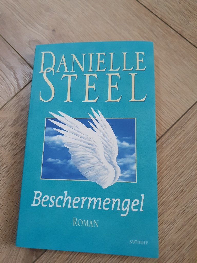Danielle Steel – Beschermengel | Roman | Liefde & Familie, Danielle Steel, Ophalen of Verzenden, Zo goed als nieuw, Amerika
