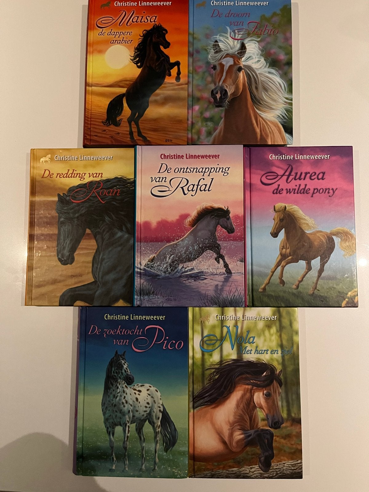 7x Christine Linneweever paardenboeken (Zo goed als nieuw), Ophalen, Zo goed als nieuw, Fictie