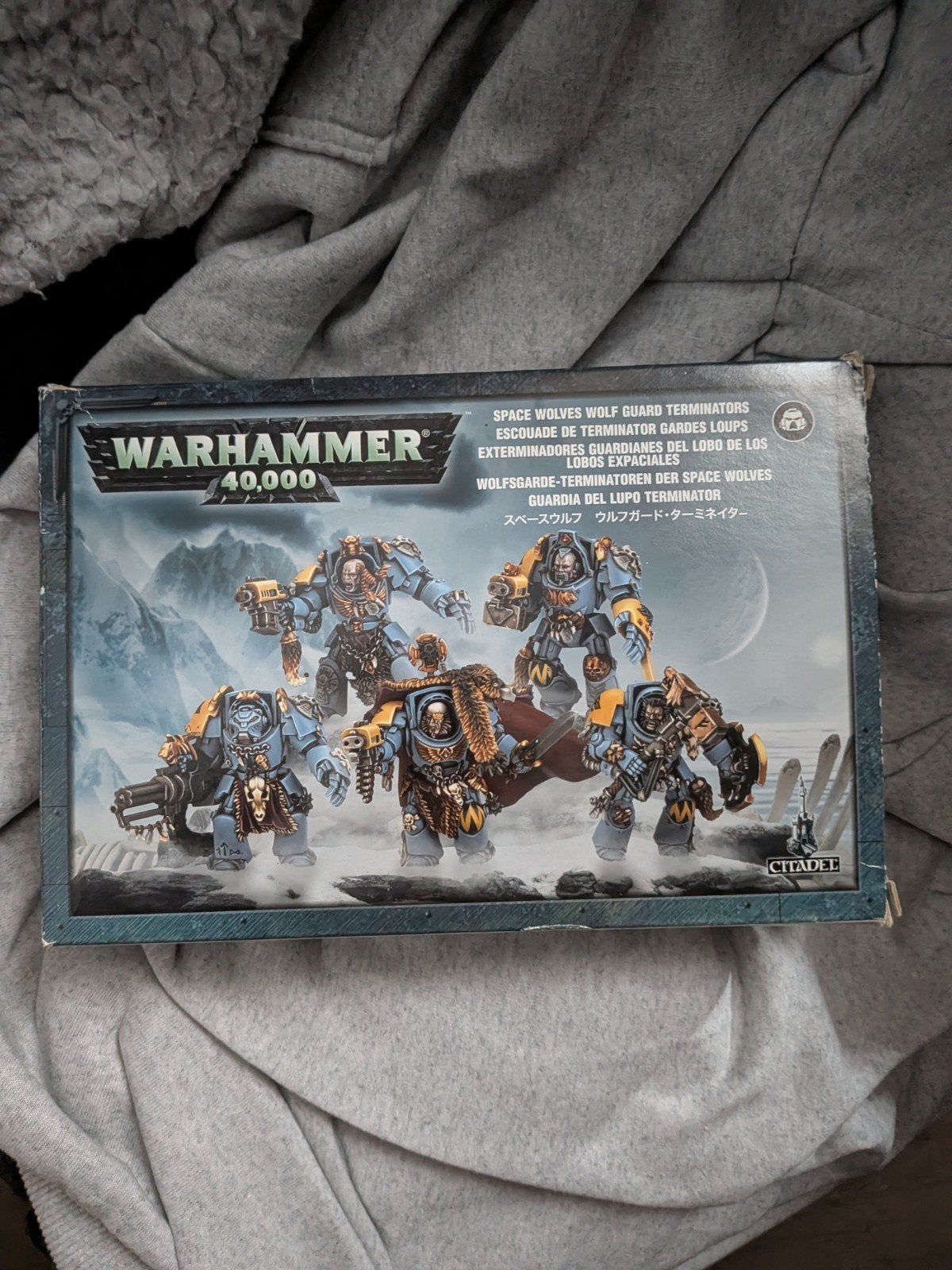 Warhammer 40kSpace Wolves Wolf Guard Terminators 10 stuks, Ophalen of Verzenden, Gebruikt, Warhammer 40000, Figuurtje(s)