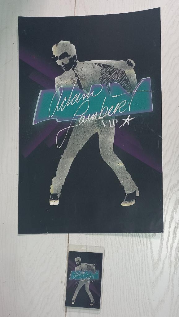 Adam Lambert VIP poster en badge, Ophalen of Verzenden, Gebruikt, Poster, Artwork of Schilderij