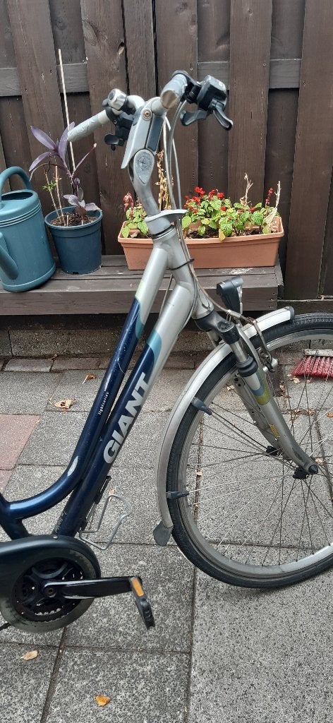 dames fiets, Ophalen, Gebruikt, Overige merken