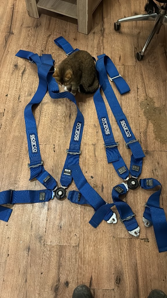 Nieuwe Sparco 4 punts gordel set blauw 2x, Ophalen of Verzenden