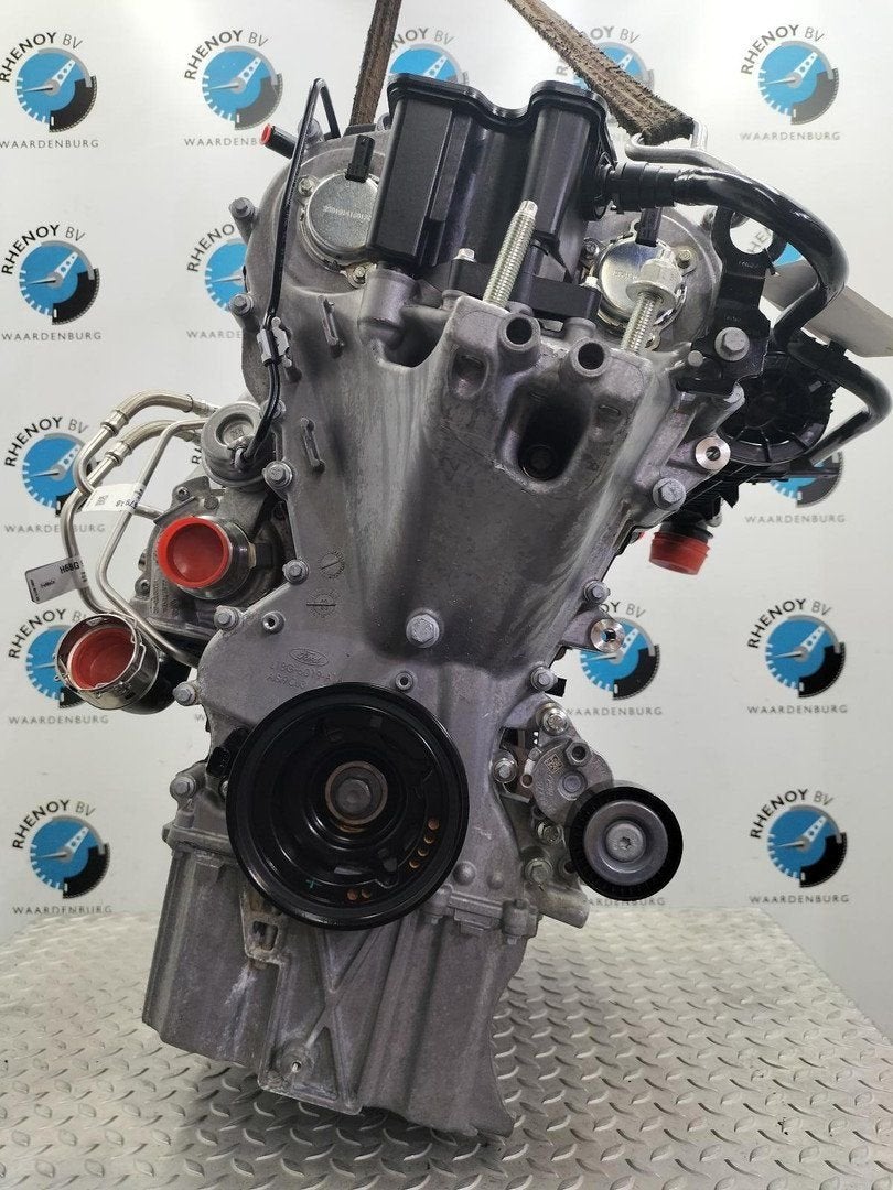 FORD FIESTA MOTOR 2023, Ophalen of Verzenden, Gebruikt, Stiba lid
