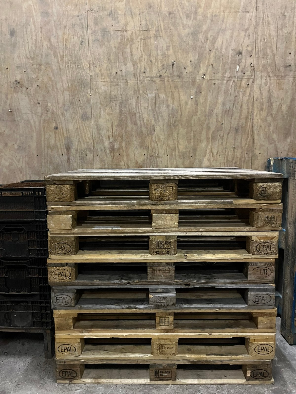 6 stevige Europallets van 120x80 cm, Ophalen, Gebruikt, 25 tot 50 mm, Pallet