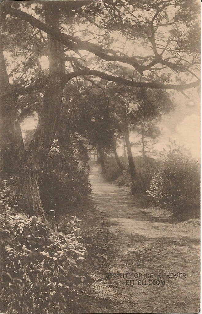 Oude Ansichtkaart: Gezicht op de Kijkover bij Ellecom, Verzamelen, Ophalen of Verzenden, 1920 tot 1940, Ongelopen, Gelderland