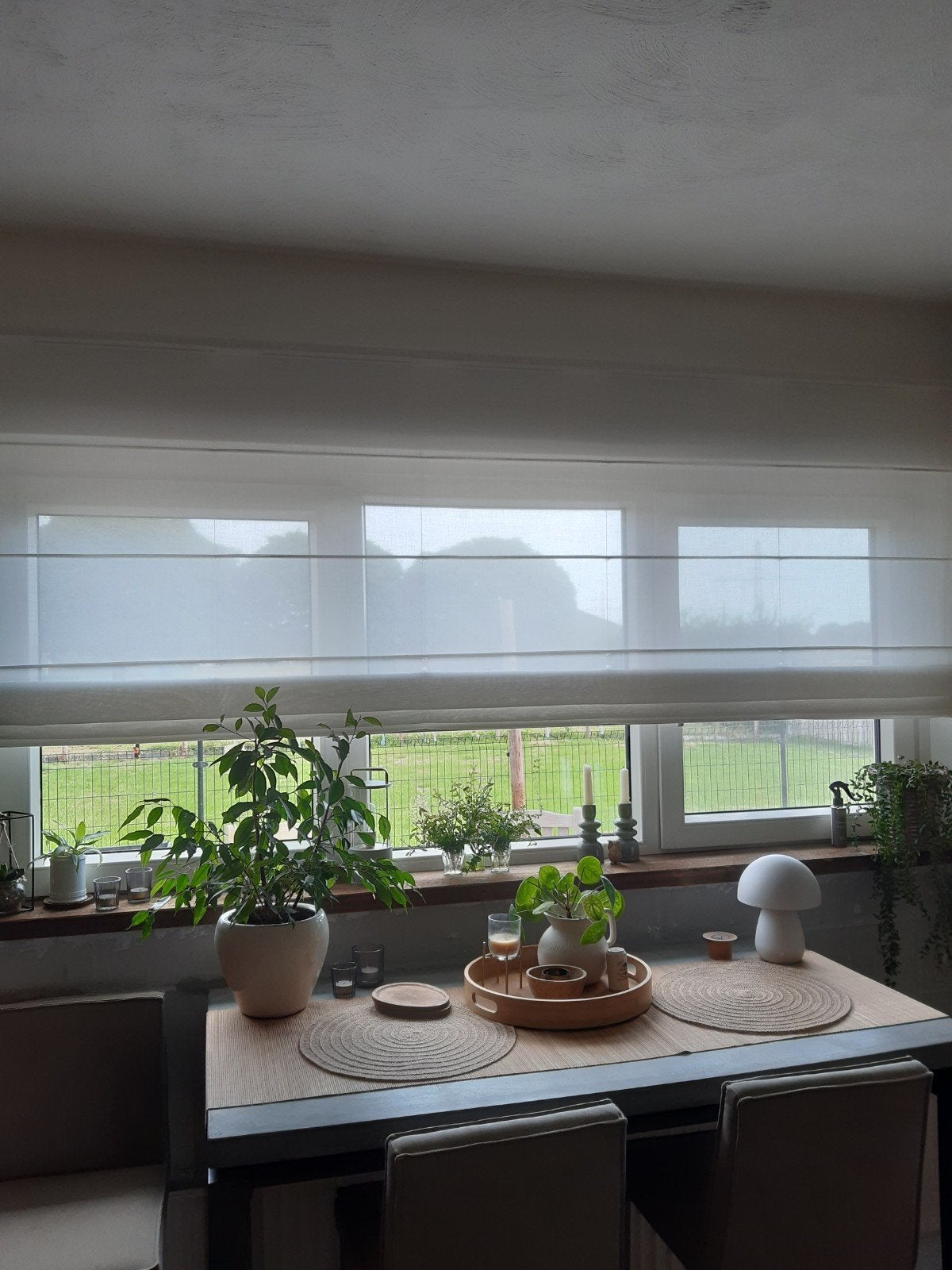 Lichtdoorlatend vouwgordijn, Ophalen, 250 cm, Wit, 175 cm