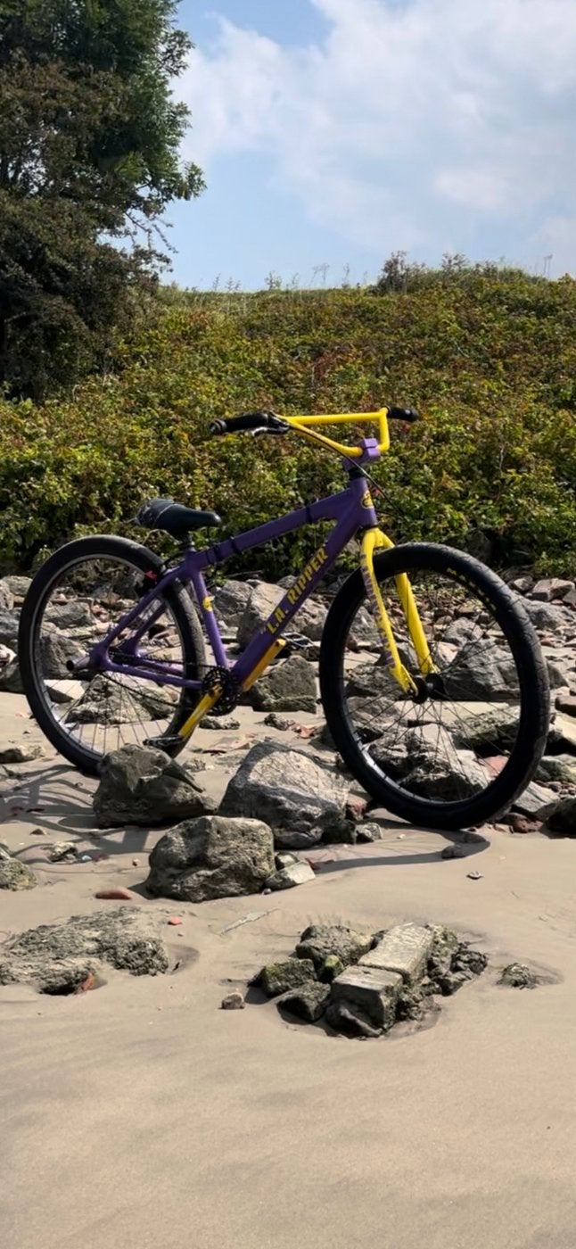 SE Bike L.A. Ripper 29”, Fietsen en Brommers, Ophalen, Zo goed als nieuw, Aluminium, 24 inch of meer