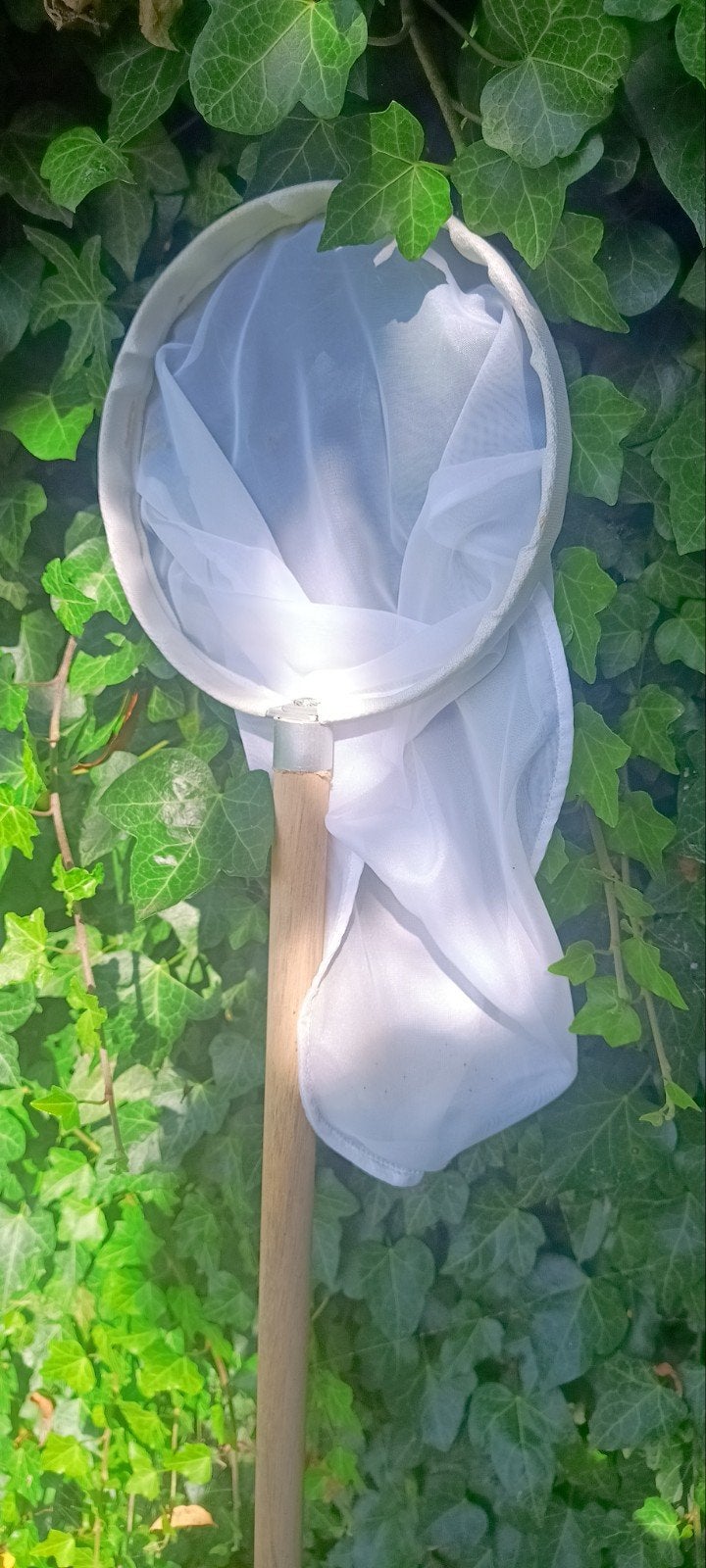 Vlinder- of insectennet met houten steel, Ophalen of Verzenden, Zo goed als nieuw
