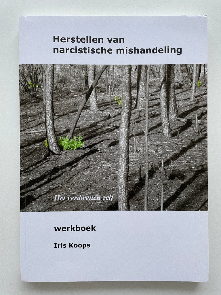 Herstellen van narcistische mishandeling, Boeken, Advies, Hulp en Training, Zo goed als nieuw, Verzenden