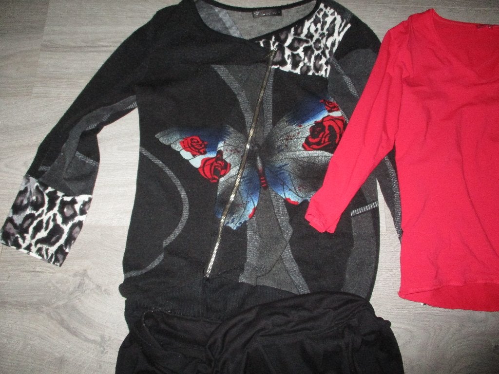 dames blouse + T Shirt en tuniek maat M, Kleding | Dames, Ophalen of Verzenden, Zo goed als nieuw, Maat 38/40 (M), Rood