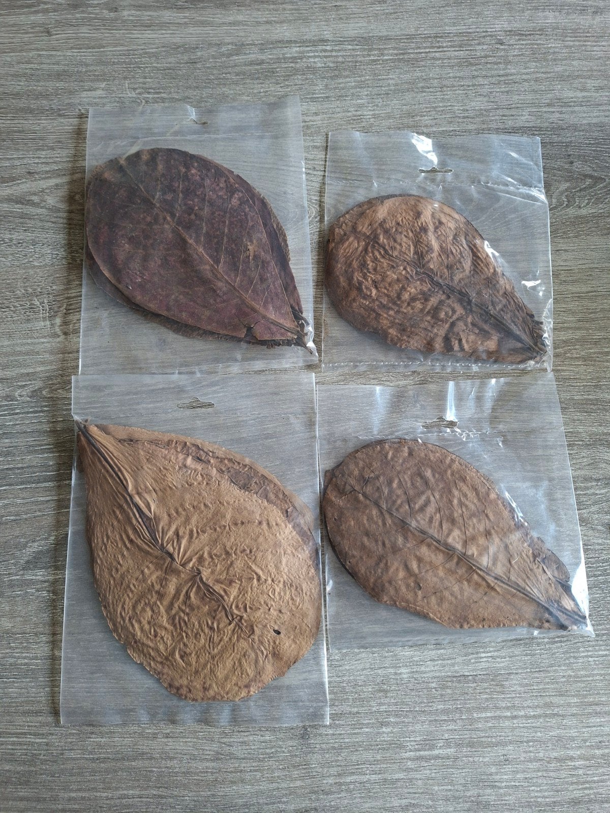 Catappa bladeren, Dieren en Toebehoren, Vissen | Aquaria en Toebehoren, Ophalen of Verzenden, Nieuw, Plant(en), Steen of Hout