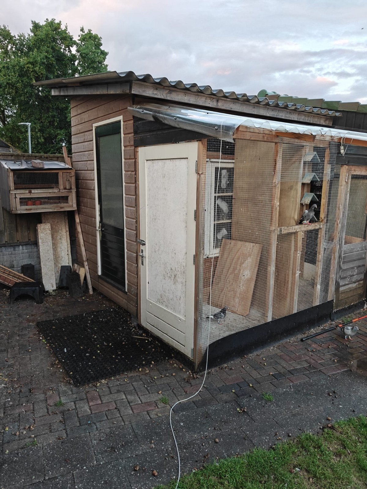 Duivenhok 3x2 +ren, Ophalen, Hout, Vogelkooi