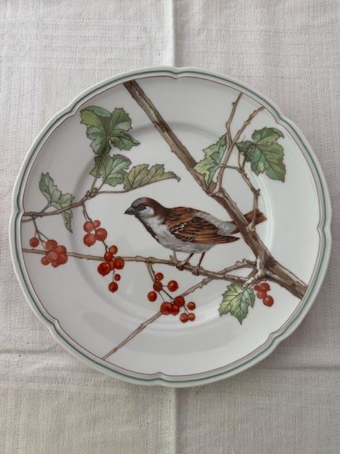 Villeroy&Boch bord, Ophalen of Verzenden, Zo goed als nieuw, Meerkleurig, Overige materialen