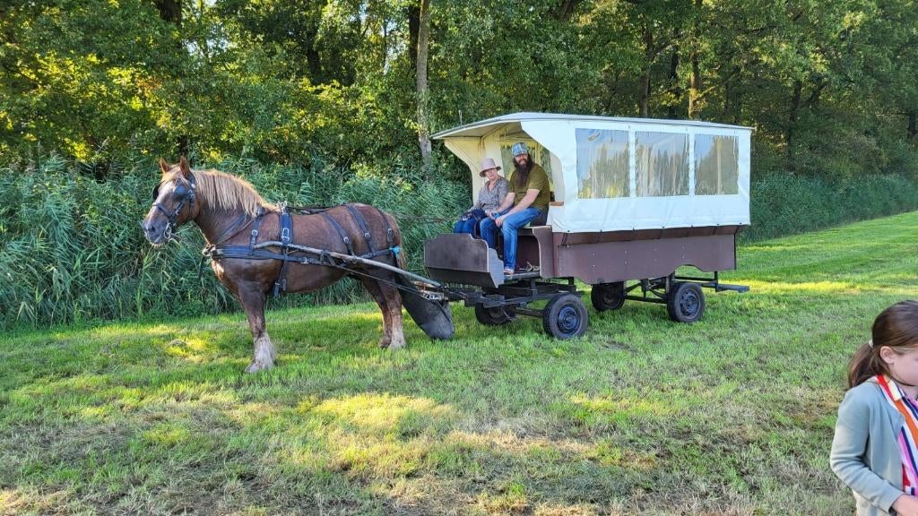 Te koop aangeboden: Huifkar, Gebruikt, Overige typen, Paard