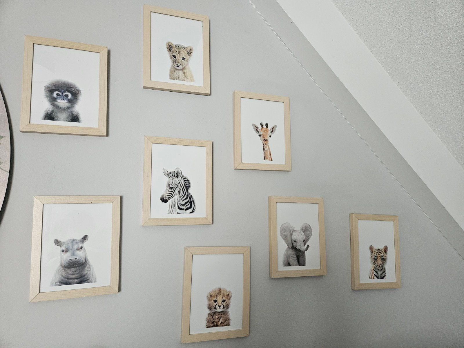 8 houten fotolijstjes van HEMA, Ophalen