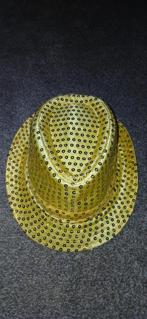 Gouden Pailletten Hoed -nieuwe Feest hoed- kleur is1ste foto, Ophalen of Verzenden, Nieuw, Feestartikel