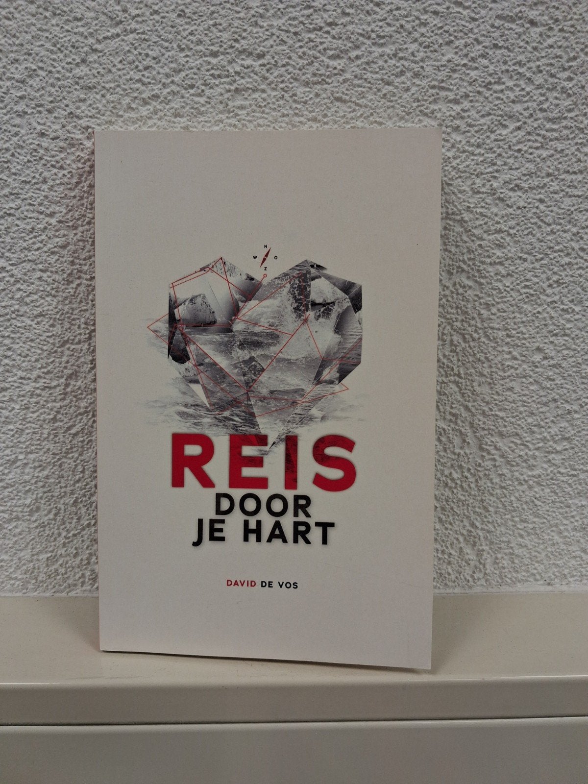 David de Vos - Reis door je hart, Ophalen of Verzenden, Zo goed als nieuw, David de Vos