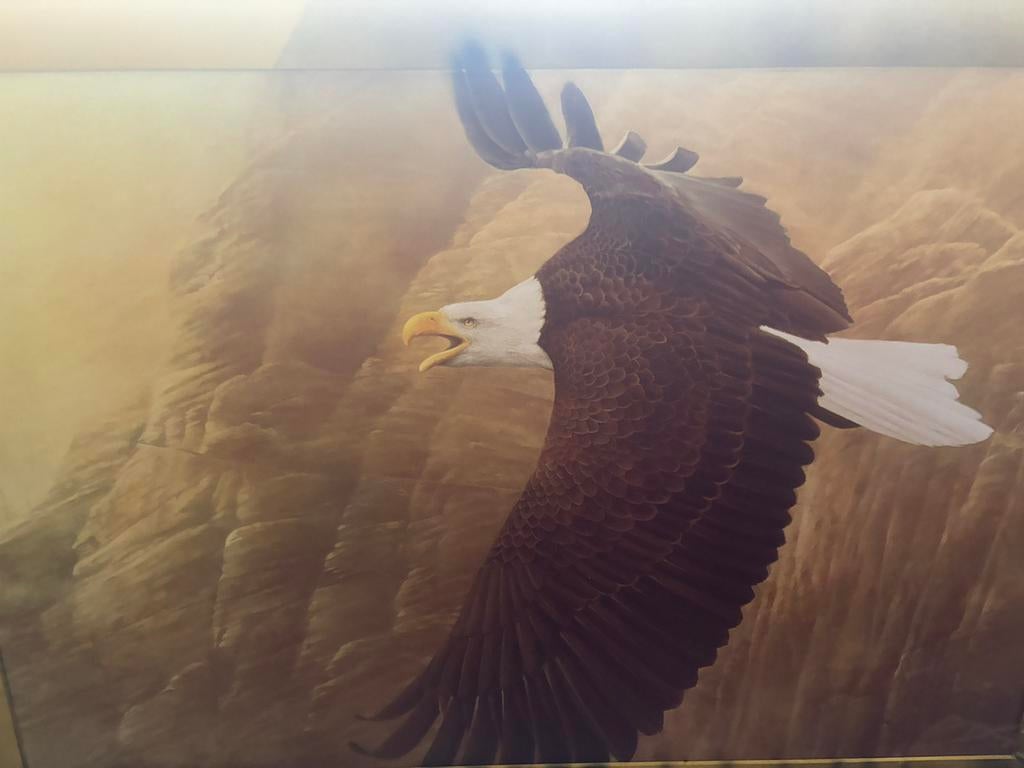 Groot airbrush schilderij van majestueuze adelaar, Ophalen