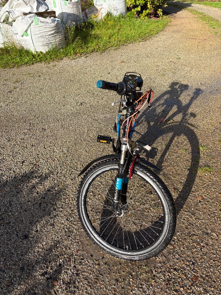 Batavus snake 24 inch, Terugtraprem, Gebruikt, Batavus, Handrem