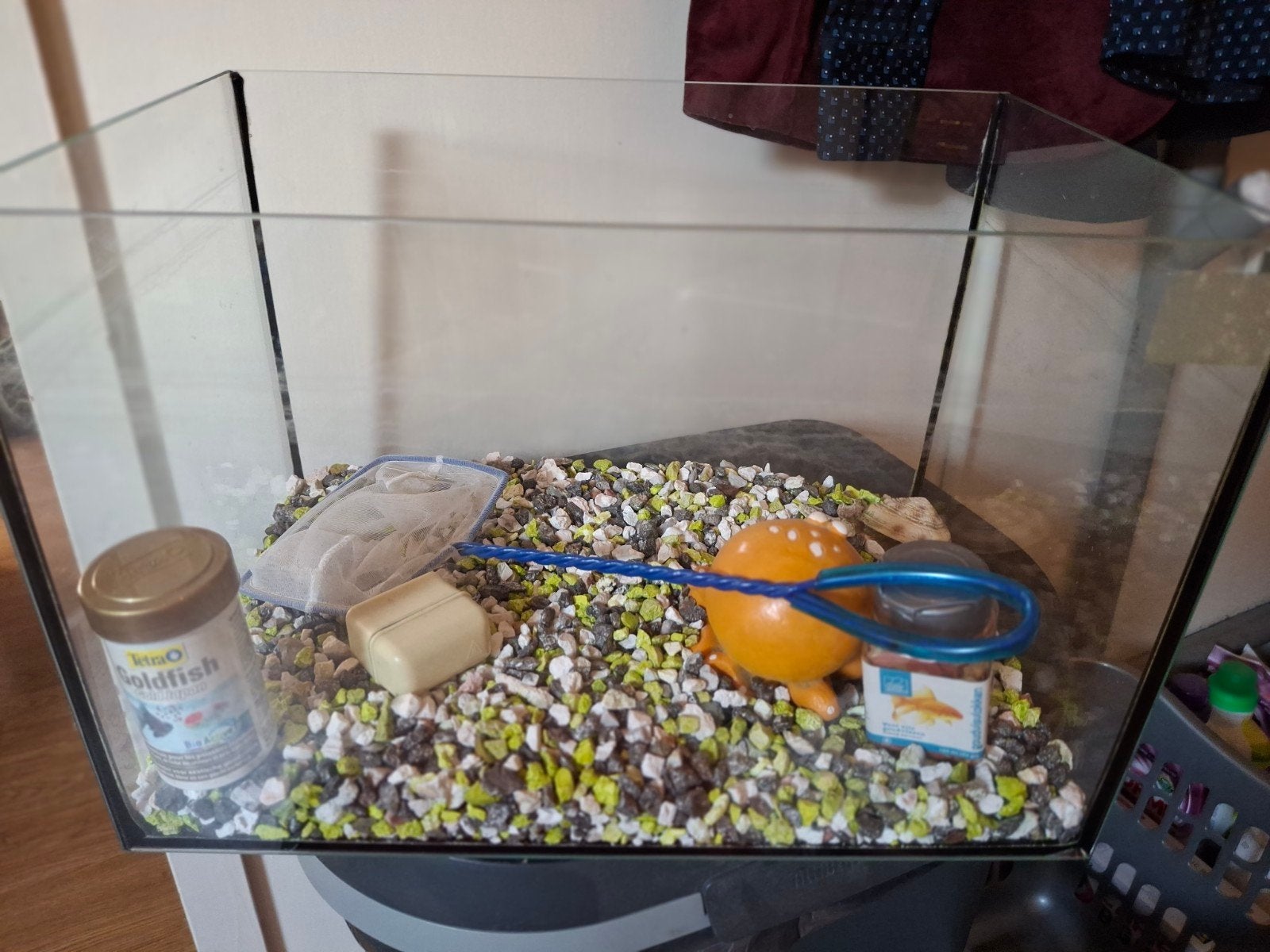 vissenkom, Ophalen, Zo goed als nieuw, Leeg aquarium