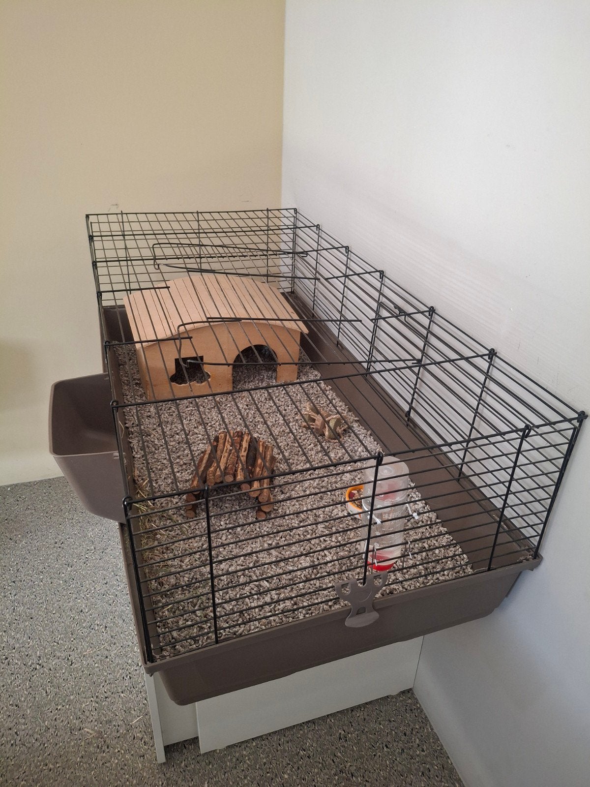 cavia kooi te koop, Kooi, Cavia, Ophalen, Minder dan 60 cm