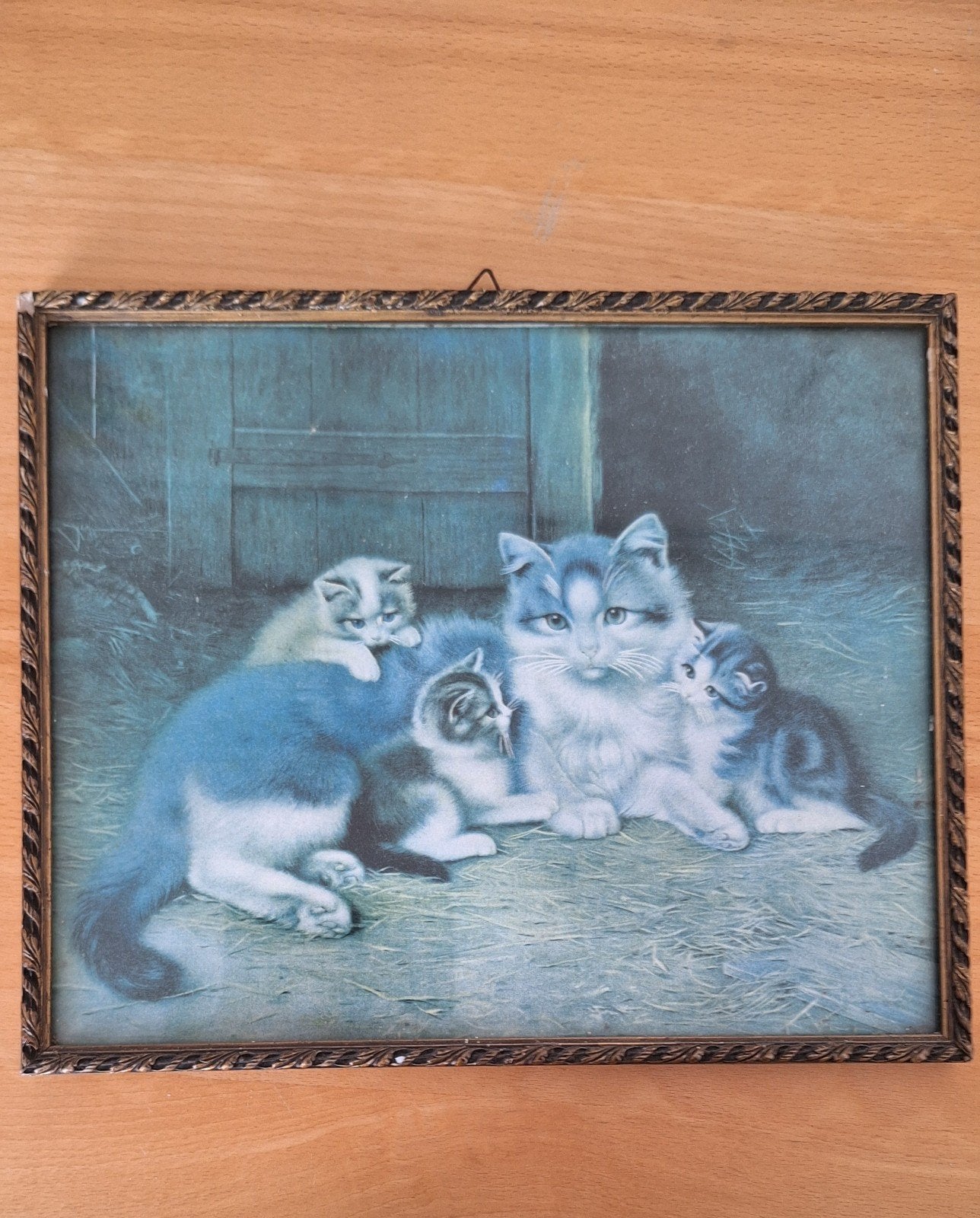 Oude prent van katten in oude lijst, Minder dan 50 cm, Gebruikt, Ophalen of Verzenden, Foto of Poster