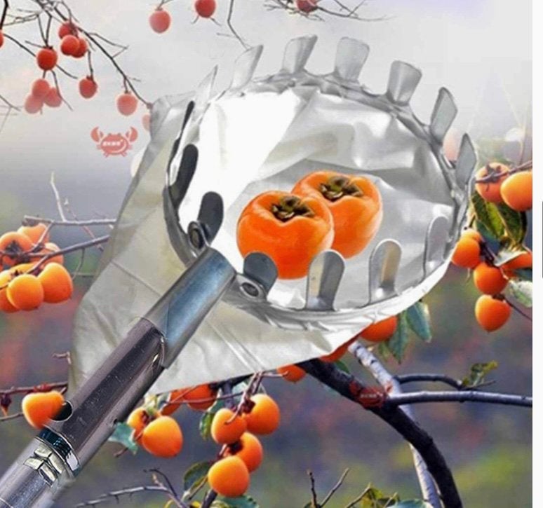 Nieuwe fruitplukker eenvoudig fruit plukken, Ophalen of Verzenden, Nieuw, Overige soorten