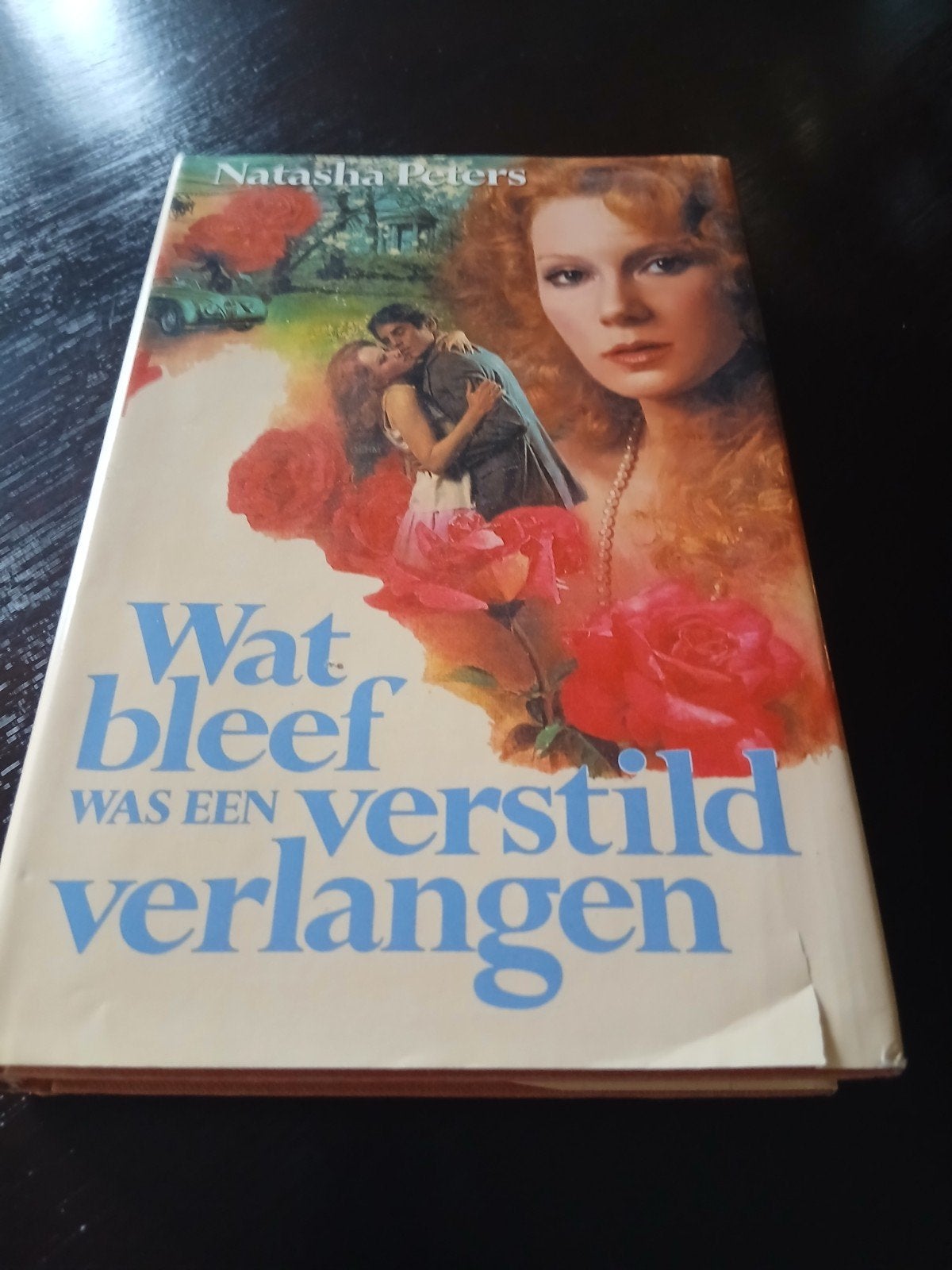 Wat bleef was een verstild verlangen - Natasha Peters, Ophalen, Gelezen, Natasha Peters