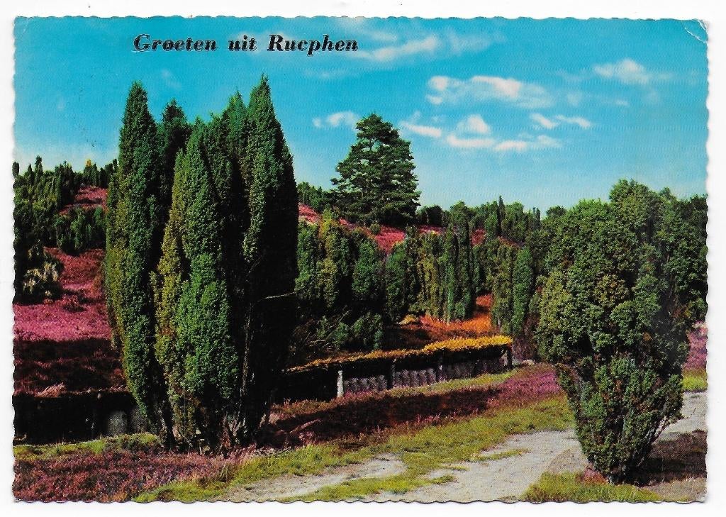 Rucphen Gelopen Ansichtkaart ( B5914 ), Ophalen of Verzenden, 1980 tot heden, Gelopen