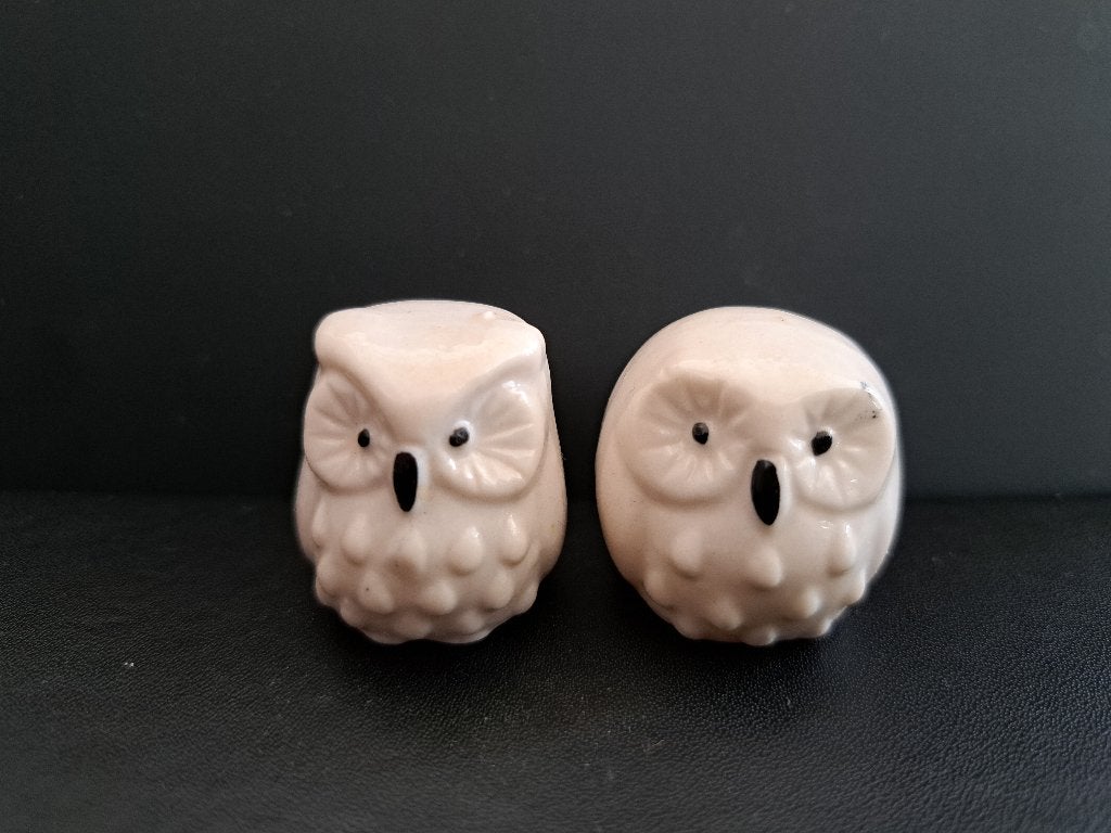 Set van 2 schattige uilen beeldjes, Ophalen of Verzenden, Gebruikt, Dier