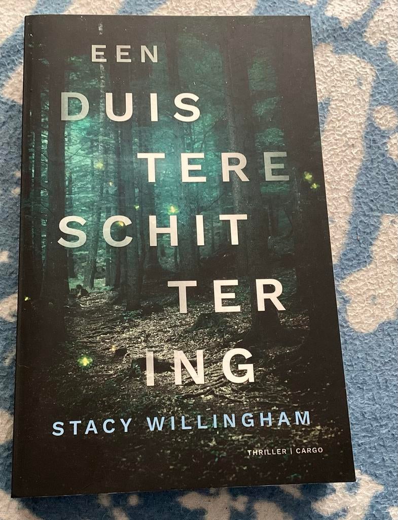 Een Duistere Schittering - Stacy Willingham (Thriller), Ophalen of Verzenden, Nieuw, Amerika