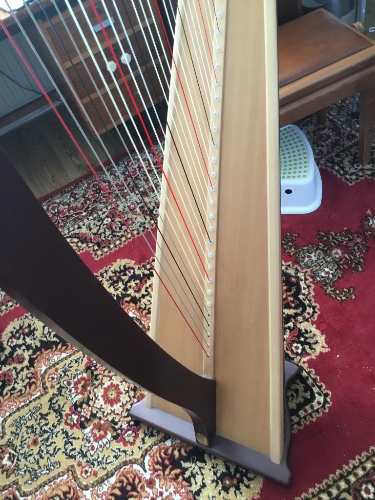 Harp Lyon & Healey, Muziek en Instrumenten, Ophalen, Zo goed als nieuw