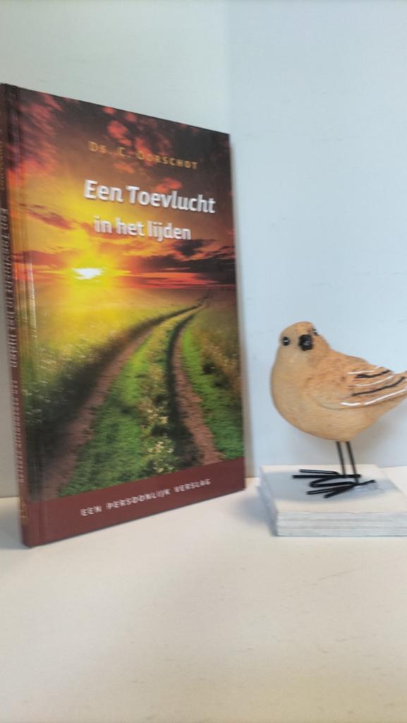 Oorschot, Ds. C. ; Een Toevlucht in het lijden, Ophalen of Verzenden, Gelezen, Christendom | Protestants