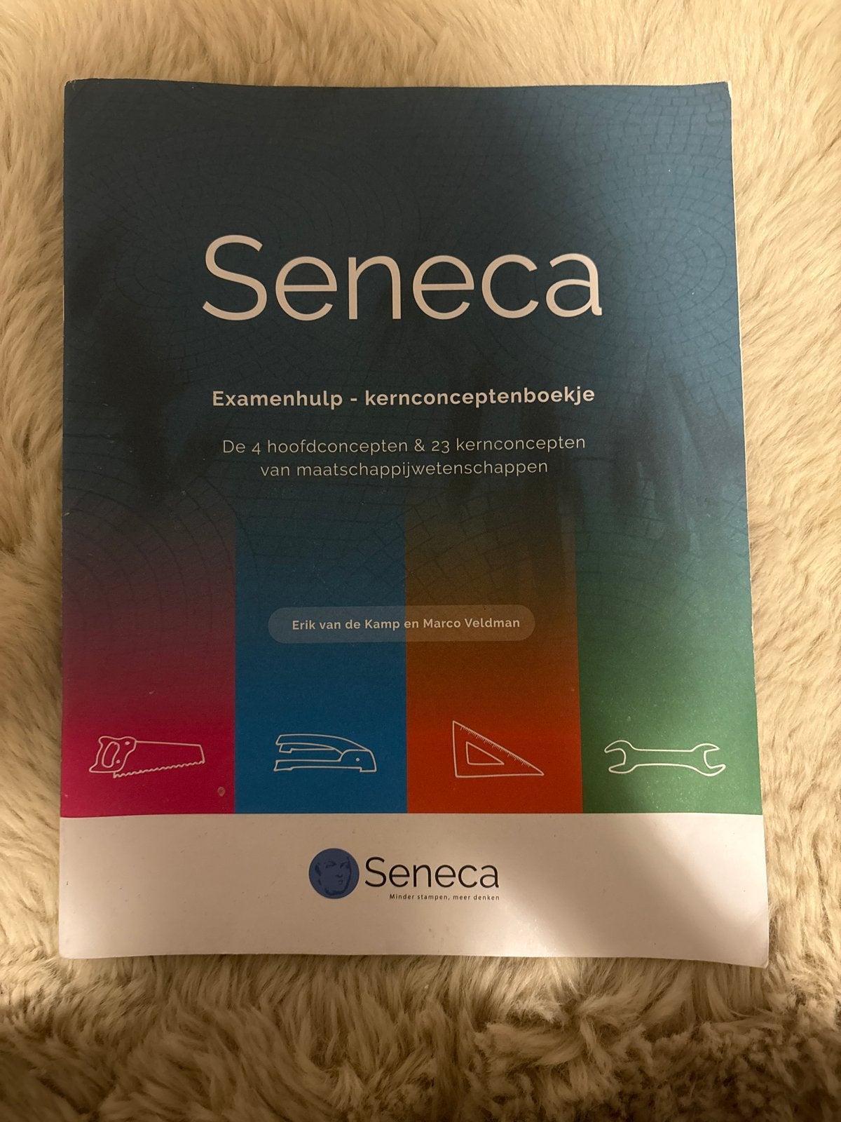Seneca Examenhulp Kernconceptenboekje HAVO 4 & 5, Boeken, Ophalen of Verzenden, Gamma, Zo goed als nieuw, Overige niveaus