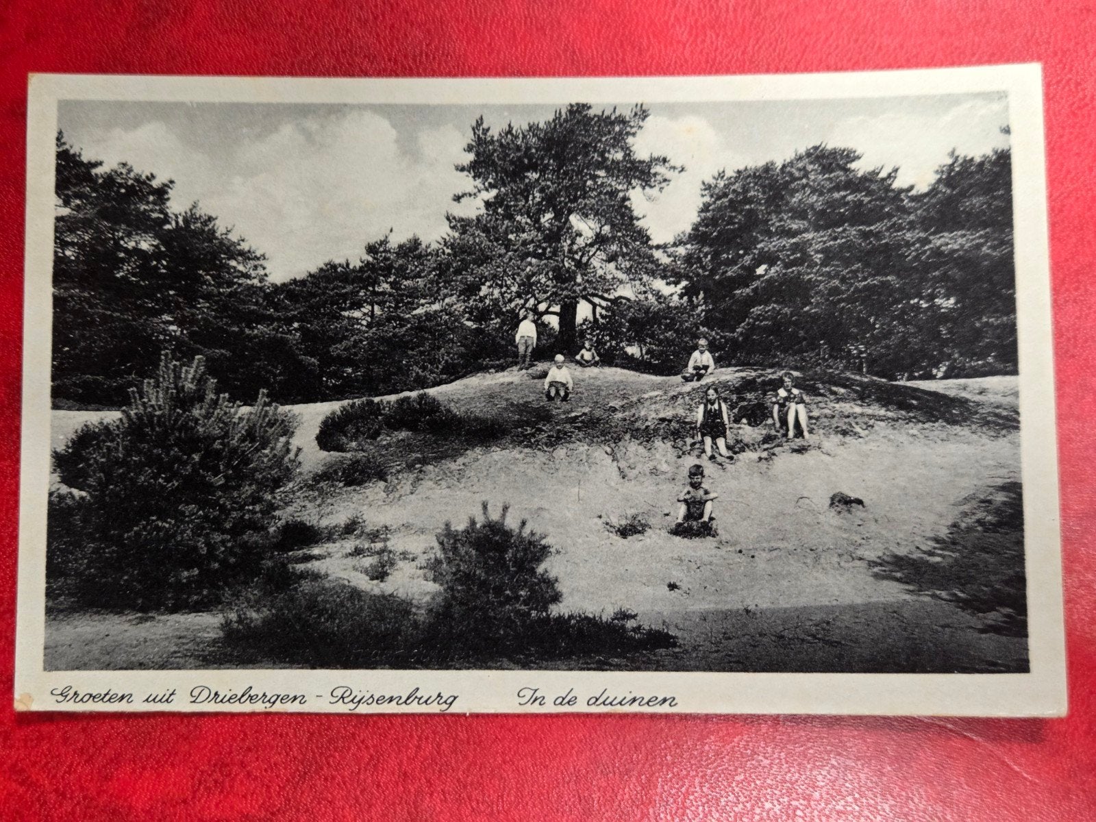 Driebergen bij Zeist In de Duinen, Antiek en Kunst, Kunst | Etsen en Gravures, Ophalen of Verzenden