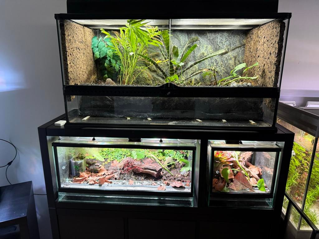 Exo Terra Terrarium 90x45x45 – Compleet met accessoires, Ophalen, Zo goed als nieuw, Terrarium of Paludarium