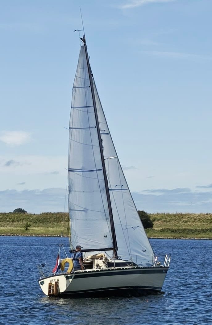 Nette Friendship 26 te koop, Ophalen, Gebruikt, Binnenboordmotor, 1.80 meter