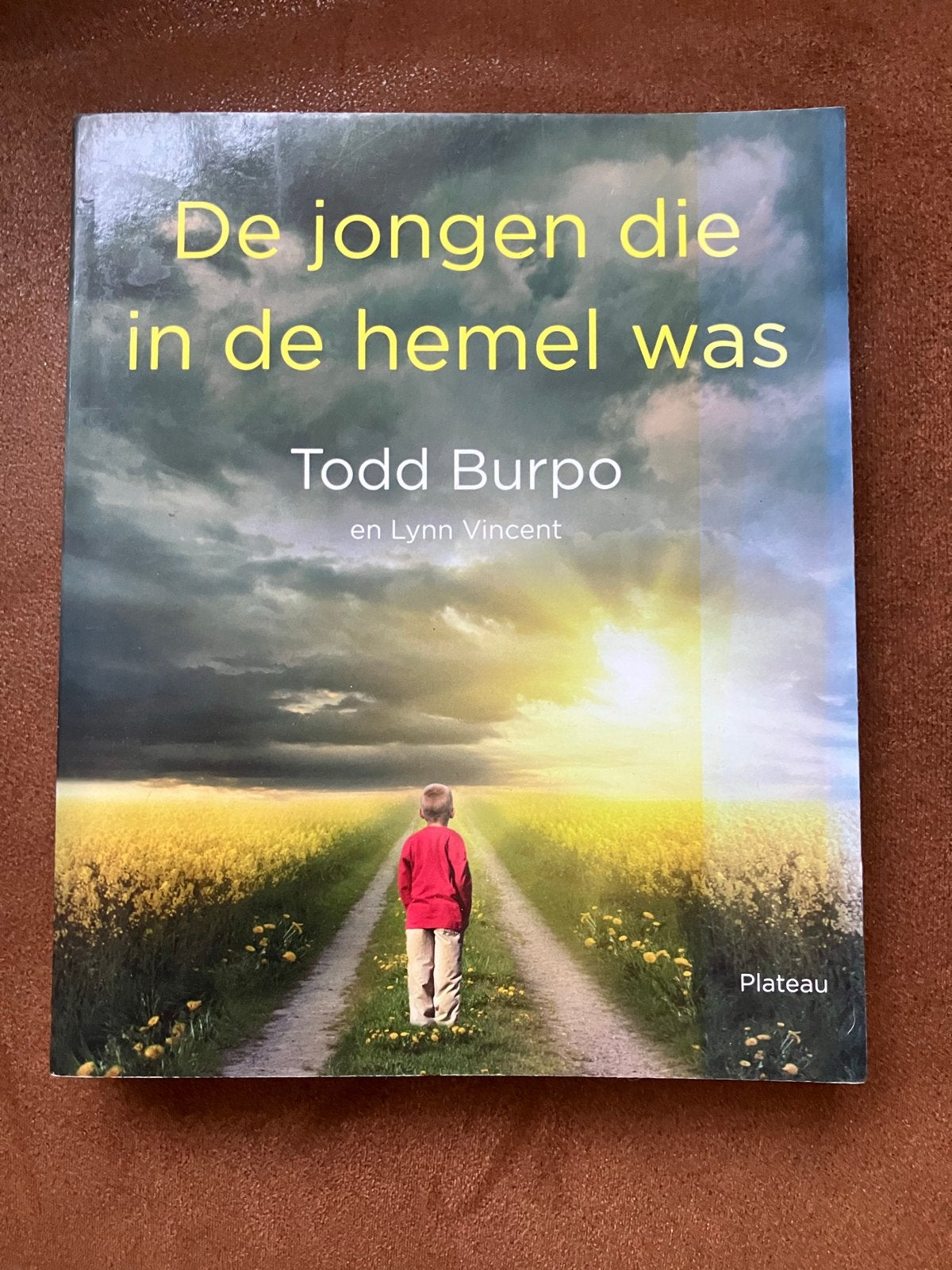 De jongen die in de hemel was - Todd Burpo, Boeken, Ophalen of Verzenden, Nieuw, Ziel of Sterfelijkheid, Verhaal of Roman