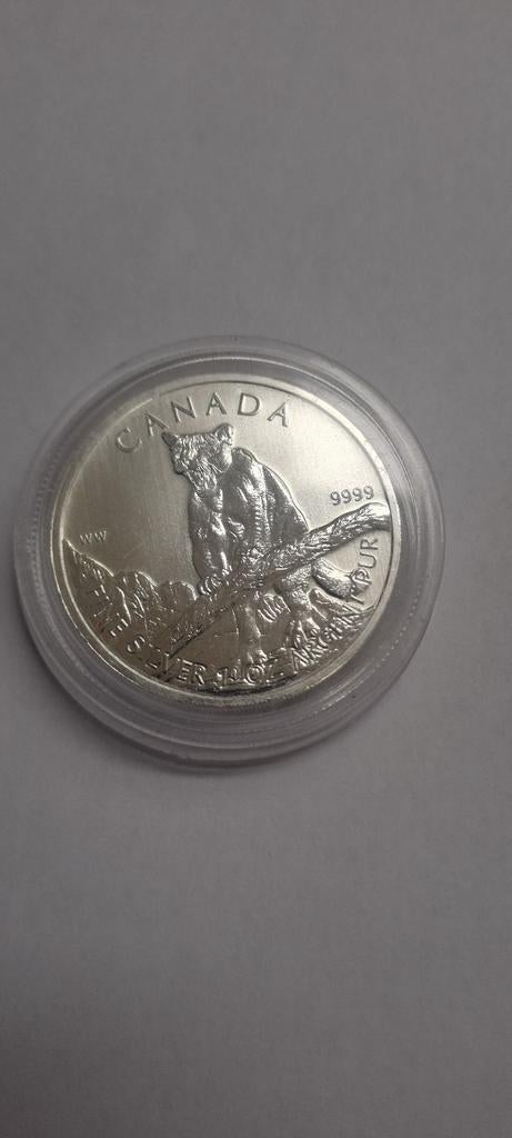 Canada 2012 Tijger 1oz Zilveren Munt, Ophalen of Verzenden, Losse munt, Zilver