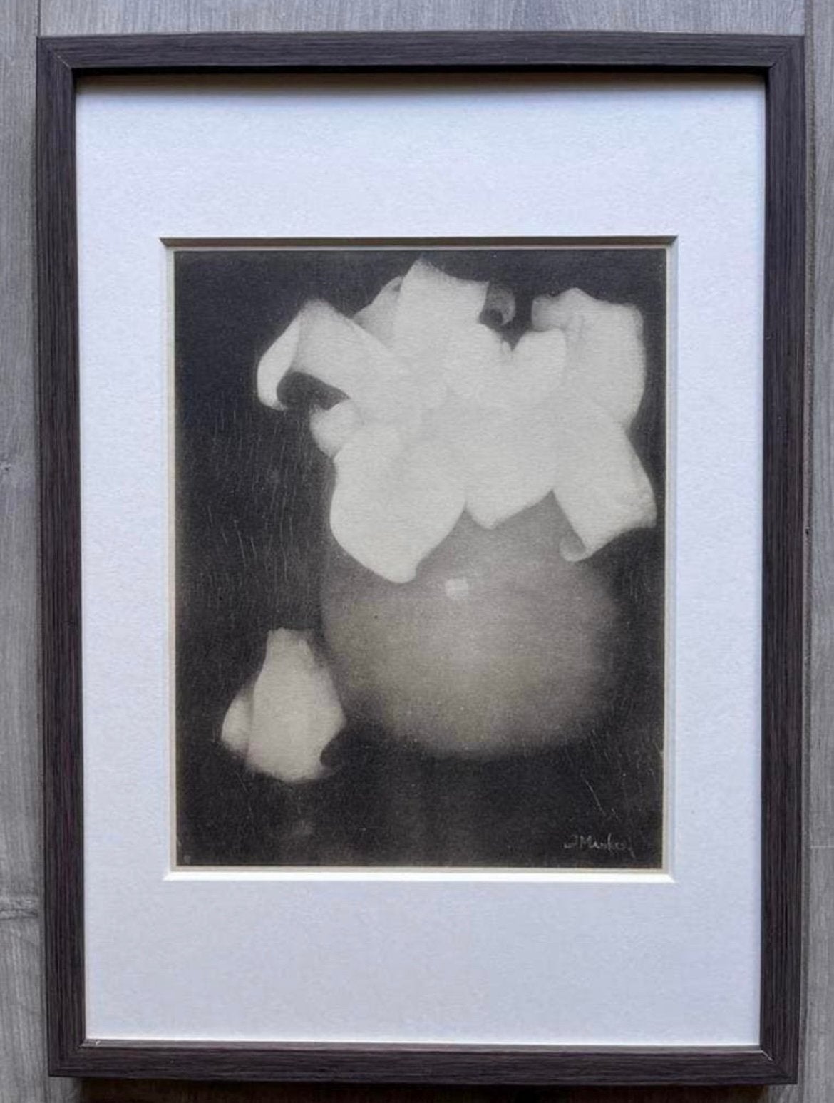 Jan Mankes 1889-1920 / Heliogravure Aronskelken 1923, Antiek en Kunst, Origineel, Verzenden, 23 cm, Gravure
