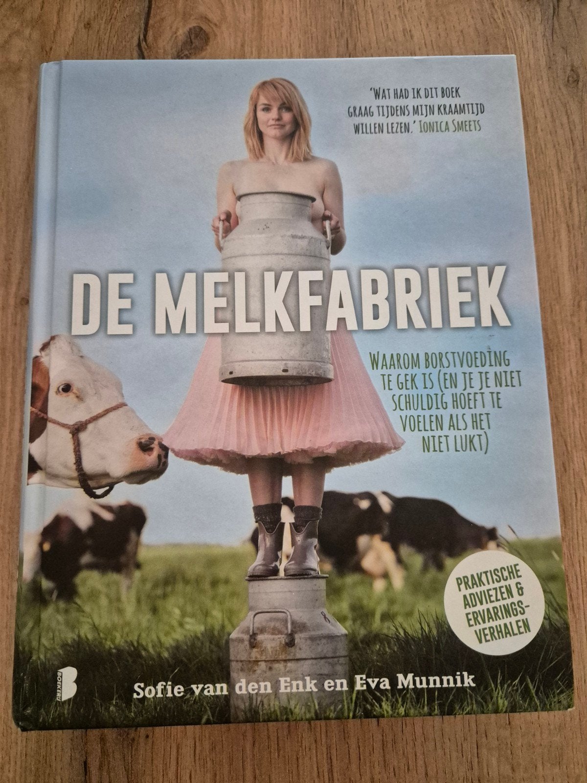 De Melkfabriek: Borstvoeding zonder schuldgevoel, Ophalen of Verzenden, Zo goed als nieuw, Zwangerschap en Bevalling, Sofie van den Enk, Eva Munnik