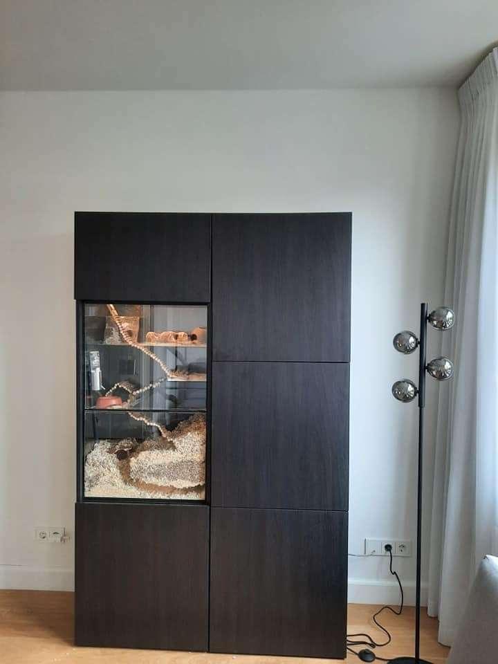 Glazen terrarium 56x35x90 – IKEA Besta lijn, Dieren en Toebehoren, Knaagdieren en Konijnen | Hokken en Kooien, Nieuw, Hok, 60 tot 90 cm