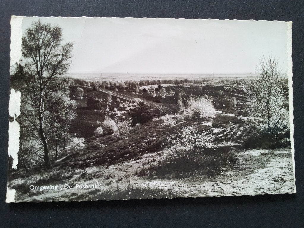 Ansichtkaart gelopen De Posbank niet helemaal mooi zie foto, Ophalen of Verzenden, Voor 1920, Gelopen, Gelderland