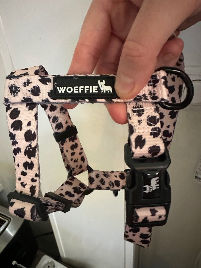 Woeffie tuigje nieuwstaat, Overige merken, Ophalen of Verzenden, Nieuw, Hondenriem