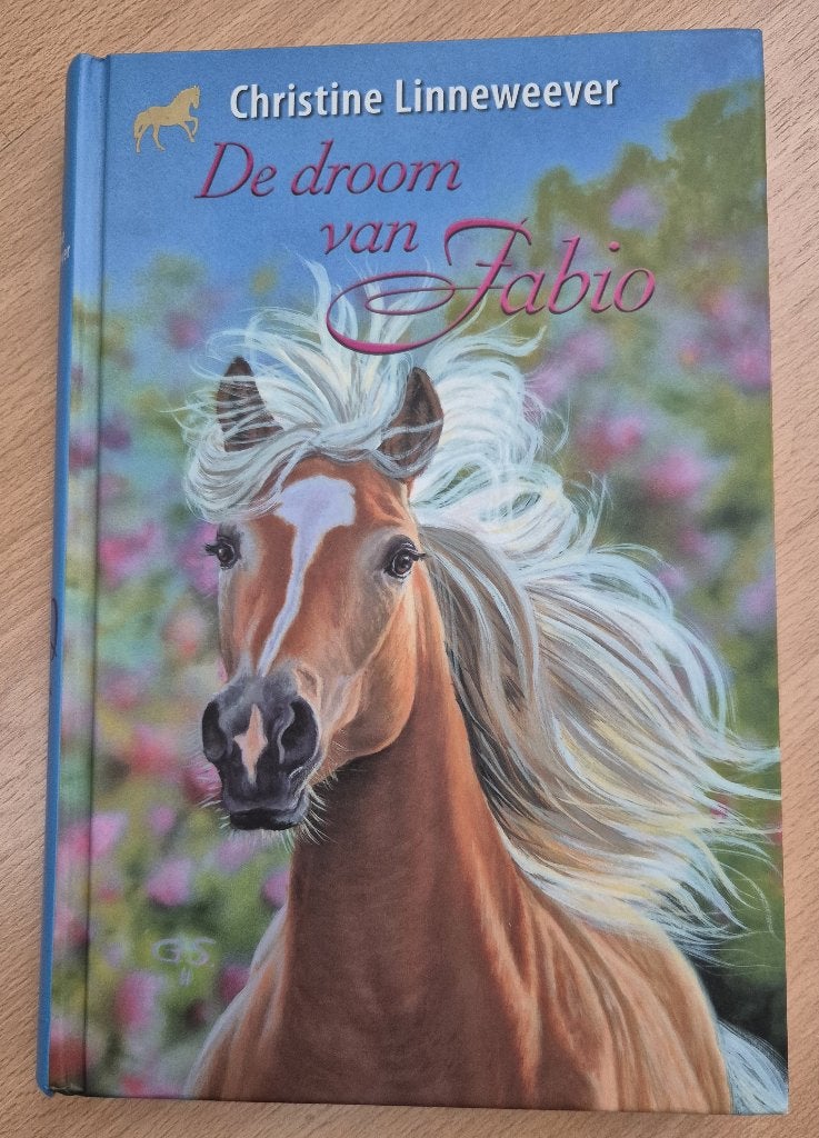 De droom van Fabio - Christine Linnewever | Hardcover, Boeken, Ophalen of Verzenden, Zo goed als nieuw, Christine Linneweever
