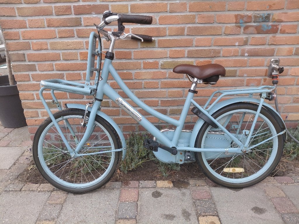 Pop meisjesdiets 20 inch met voordrager, Ophalen, Gebruikt, 20 inch