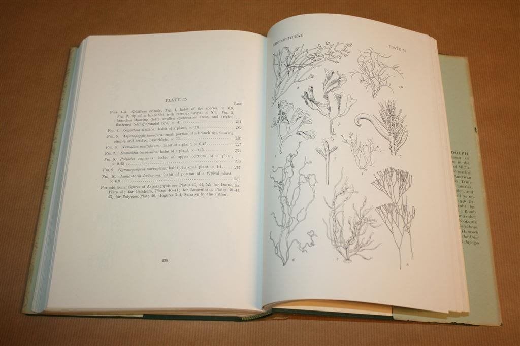 Marine Algae of the Northeastern Coast of North America, Ophalen of Verzenden, Gelezen, Natuurwetenschap