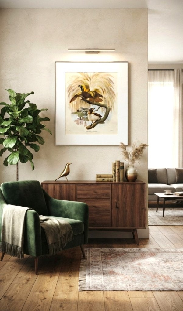 Grote ingelijste prent "Paradisaea Minor", Ophalen of Verzenden, Lithografie, Dieren en Natuur, Gesigneerd in de plaat