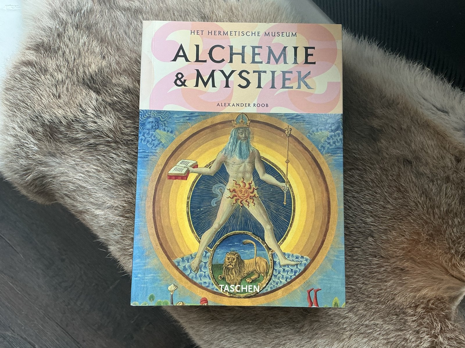 TASCHEN Boek Alchemie & Mystiek - Het Hermetische Museum, Ophalen of Verzenden, Zo goed als nieuw, Spiritualiteit algemeen, Achtergrond en Informatie