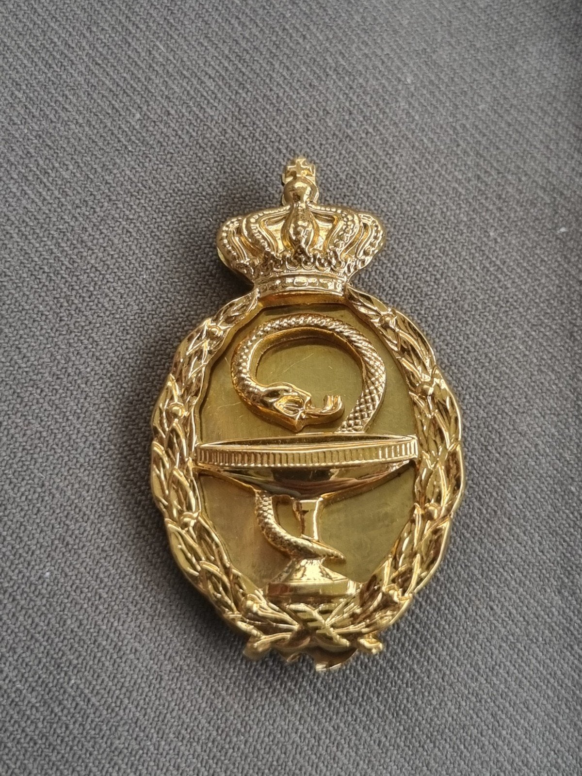 Brevet DT militair Apotheker, Ophalen of Verzenden, Landmacht, Nederland, Embleem of Badge